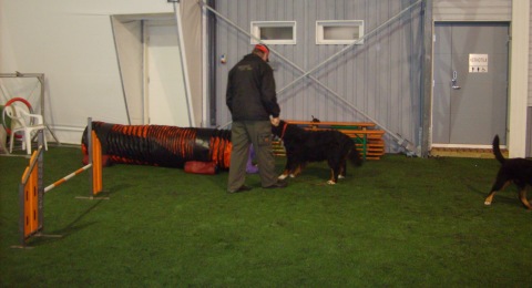 Agility3